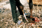 Preview: Udemba, Emeka: Chicken kings · Metal kings · Market kings