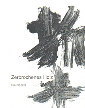 Baumhekel, Thomas: Zerbrochenes Holz