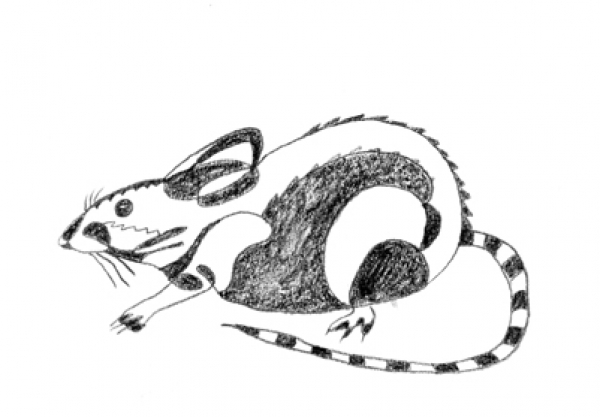 Apollinaire, Guillaume: Bestiarium