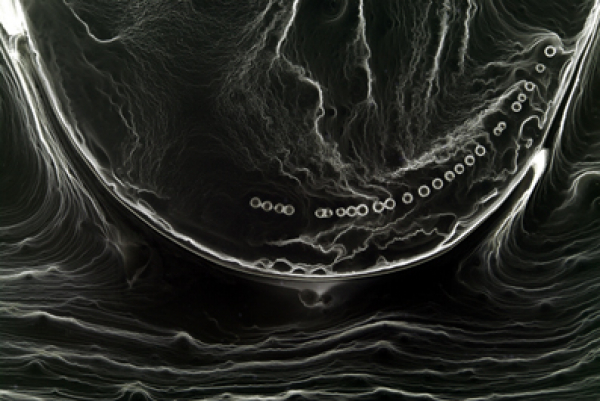 Gehrisch, Peter: Der glimmende Ring meiner Lichtwissenschaft