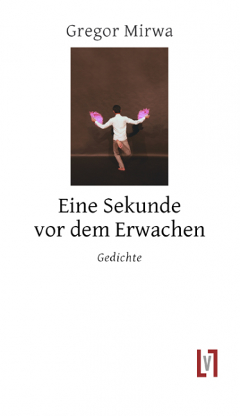 Mirwa, Gregor: Eine Sekunde vor dem Erwachen