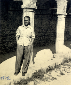 Crnjanski, Milos: Zottelige Pferde auf Island