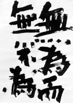 Kalinke, Viktor: Nichtstun als Handlungsmaxime (Studien zu Laozi - Daodejing. Band 3)
