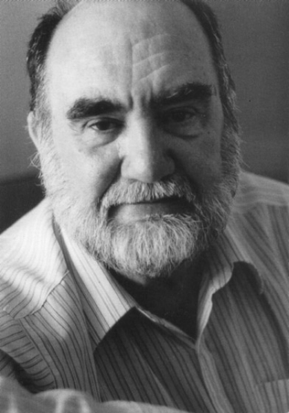 Helder, Herberto: Die Schritte ringsum - eBook